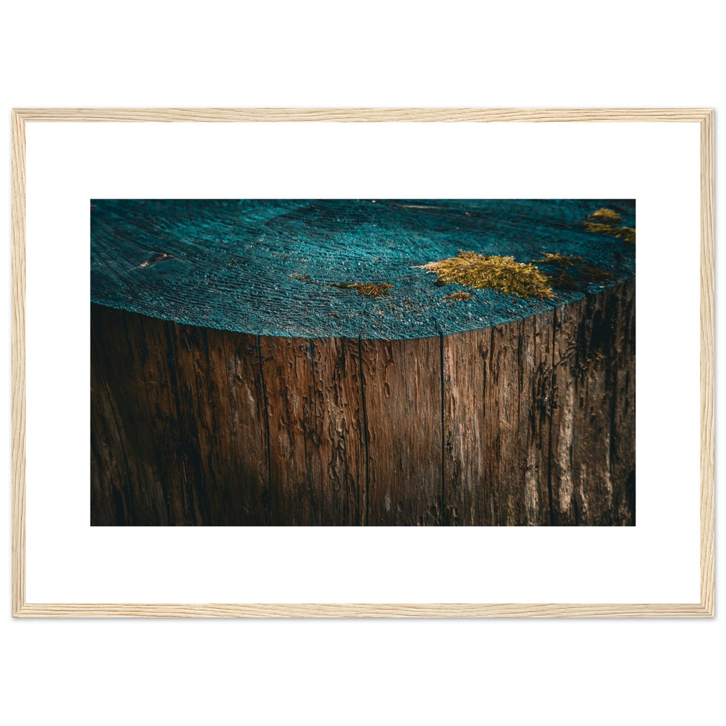 Premium Matte Paper Wooden Framed Poster